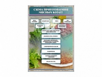 Стенд "Схема приготовления мясных котлет" - «globural.ru» - Архангельск