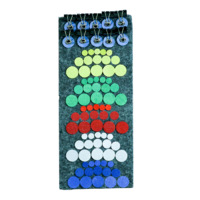 Дидактический набор «Кружки и зажимы» - «globural.ru» - Архангельск