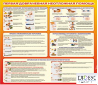 Стенд "Первая доврачебная неотложная помощь" - «globural.ru» - Архангельск