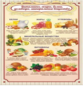 Стенд "Витамины, жиры, белки" - «globural.ru» - Архангельск