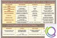 Стенд "Самостоятельные части речи" (вариант 2) - «globural.ru» - Архангельск