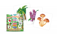 Набор карточек для знакомства с лексической темой растения "Ботанический сад" - «globural.ru» - Архангельск
