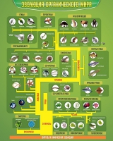 Стенд "Эволюция органического мира" - «globural.ru» - Архангельск