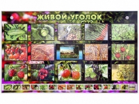 Комплект оборудования "Живой уголок" (растения) с тифлопереводом и сурдокомментариями - «globural.ru» - Архангельск