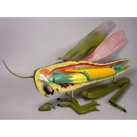 Модель "Кузнечик" - «globural.ru» - Архангельск