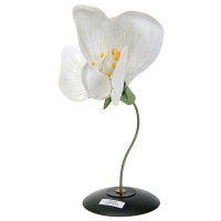 Модель "Цветок гороха" - «globural.ru» - Архангельск