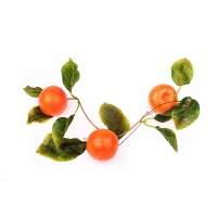 Муляж "Ветка мандарин" - «globural.ru» - Архангельск