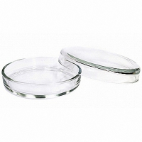 Чашка Петри 100х20 - «globural.ru» - Архангельск