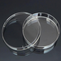 Чашка Петри стеклянная с крышкой 100х20 - «globural.ru» - Архангельск