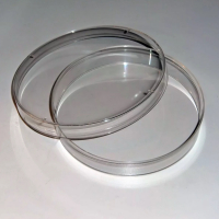 Чашка Петри пластиковая с крышкой  60 мл. - «globural.ru» - Архангельск