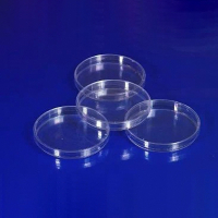 Чашка Петри 60 мл. ПП - «globural.ru» - Архангельск
