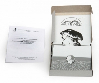 Модель-аппликация Размножение шляпочного гриба (набор из 9 карт) - «globural.ru» - Архангельск