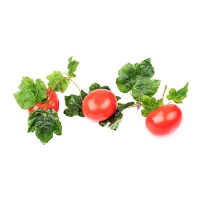 Ветка муляжей "Помидоры" - «globural.ru» - Архангельск