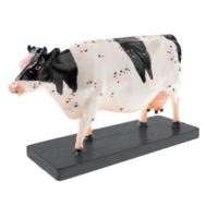 Электрифицированный макет коровы на каркасе - «globural.ru» - Архангельск