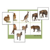 Лото "Дикие животные" (4 планшета, 24 карточки, цветное, ламинированное) - «globural.ru» - Архангельск
