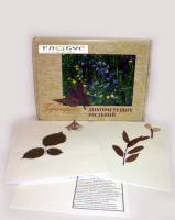 Гербарий Дикорастущие растения (28 видов) - «globural.ru» - Архангельск