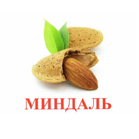 Карточки Домана "Орехи-Ягоды-2" - «globural.ru» - Архангельск
