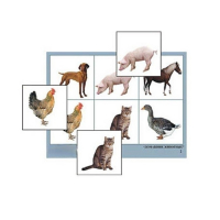Лото "Домашние животные" (4 планшета, 24 карточки, цветное, ламинированное) - «globural.ru» - Архангельск