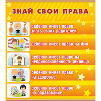 Стенд "Знай свои права" - «globural.ru» - Архангельск