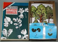 Гербарий Растительные сообщества - «globural.ru» - Архангельск