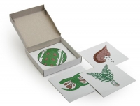 Модель-аппликация Размножение папоротника (набор из 8 карт) - «globural.ru» - Архангельск