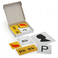 Модель-аппликация Наследование резус-фактора (набор из 19 карт) - «globural.ru» - Архангельск