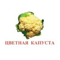Карточки Домана "Овощи-Зелень-2" - «globural.ru» - Архангельск