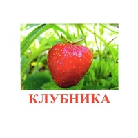 Карточки Домана "Ягоды-1" - «globural.ru» - Архангельск