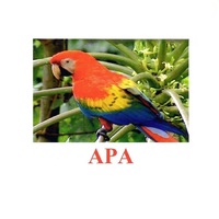 Карточки Домана "Птицы-2" - «globural.ru» - Архангельск