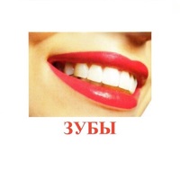 Карточки Домана "Части тела" - «globural.ru» - Архангельск