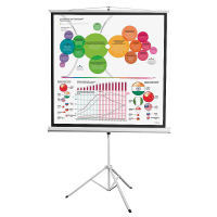 Экран на штативе DSKD-1104 - «globural.ru» - Архангельск