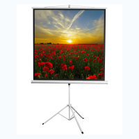 Экран на штативе DSKD-1105  - «globural.ru» - Архангельск