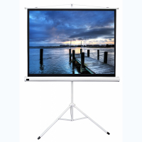 Экран на штативе DSKD-4302 - «globural.ru» - Архангельск