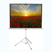 Экран на штативе DSKD-4303 - «globural.ru» - Архангельск