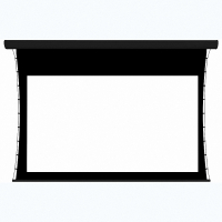 Экран настенный с электроприводом DSTPX-16915 - «globural.ru» - Архангельск