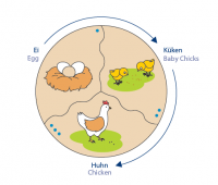 Развивающий пазл Навито "Эволюция" - «globural.ru» - Архангельск