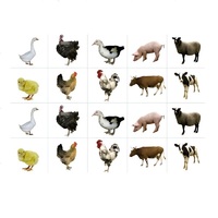 Комплект карточек. Серия наглядных пособий "Запоминай, играй, считай". Домашние животные - «globural.ru» - Архангельск