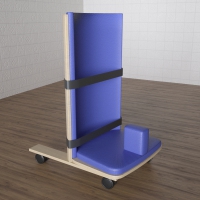 Сиденье для ребенка с ОВЗ «Без преград» - «globural.ru» - Архангельск