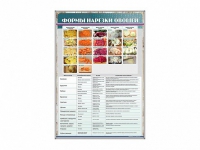 Стенд "Формы нарезки овощей" - «globural.ru» - Архангельск