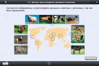 Интерактивные курсы. Биология 7 класс. Расширенный - «globural.ru» - Архангельск