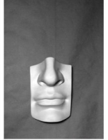 Губы с носом Давида - «globural.ru» - Архангельск