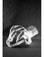 Кисть Давида - «globural.ru» - Архангельск