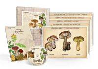 Комбинированное наглядное пособие «Грибы» - «globural.ru» - Архангельск