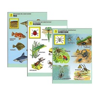 Комплект таблиц для начальной школы "Окружающий мир. Животный мир" - «globural.ru» - Архангельск