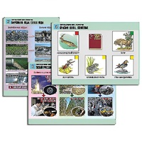 Комплект таблиц для  начальной школы "Окружающий мир. Экология" - «globural.ru» - Архангельск