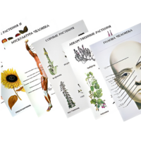 Таблицы по природоведению 1-3 класс - «globural.ru» - Архангельск