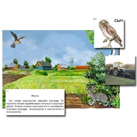 Магнитный плакат-аппликация "Поле: биоразнообразие и взаимосвязи в сообществе" - «globural.ru» - Архангельск