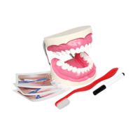 Игровой комплект "Чистим зубы" - «globural.ru» - Архангельск