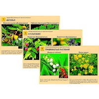 Гербарий фотографический "Ядовитые растения" - «globural.ru» - Архангельск