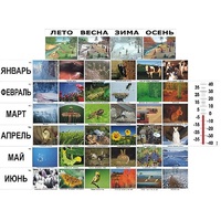 Фенологические наблюдения - «globural.ru» - Архангельск